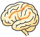 His brain learns to wake on its own.